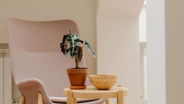 Stylish indoor scene featuring a pink armchair, potted plant, and wooden table with a bowl.
