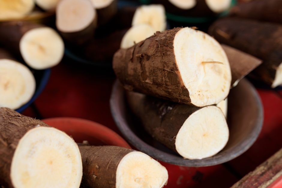 Cuidado de la Yuca: Guía Completa