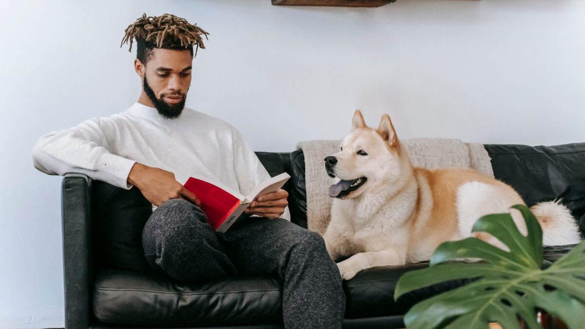 Concentrated African American male sitting on comfortable couch near Akita Inu dog while reading book in living room during weekend