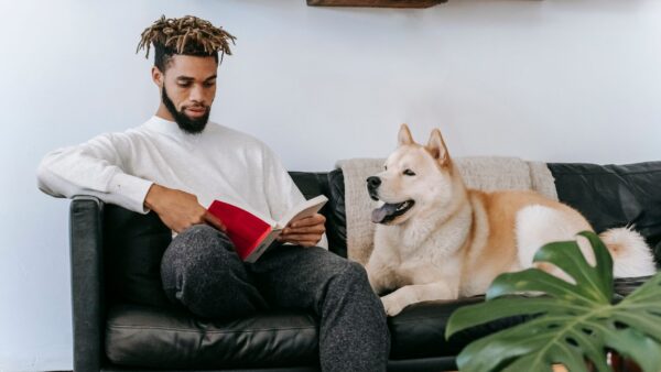 Concentrated African American male sitting on comfortable couch near Akita Inu dog while reading book in living room during weekend